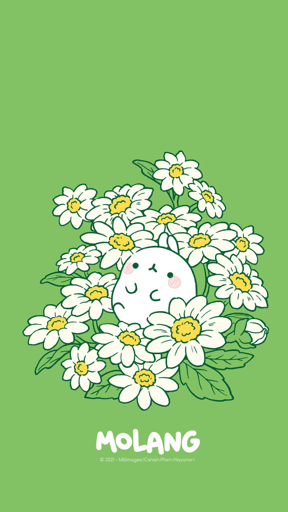 Molang kawaii background: daisy wallpaper for phone